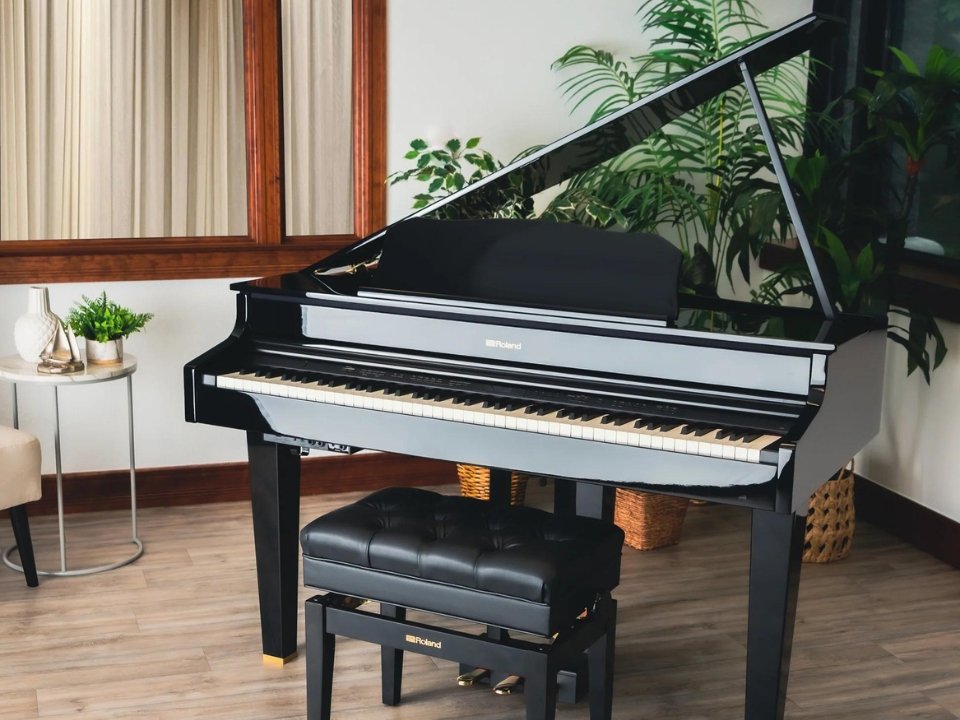 Hình ảnh chi tiết ROLAND GP-607 PE góc chụp 2